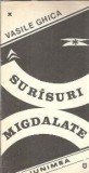 Cumpara ieftin Surasuri migdalate - Vasile Ghica