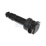 Meat &amp;amp; Doria bobina de inductie