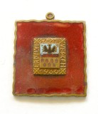 t288 MEDALION INTERBELIC 1936 BREASLA DE ARTE PLASTICE DIN TRANSILVANIA ERD&Eacute;LYI SZ&Eacute;PMIVES C&Eacute;H bronz emailat stare excelenta