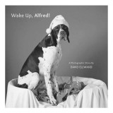 Cumpara ieftin Wake Up, Alfred!