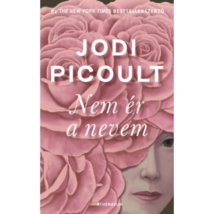 Nem &eacute;r a nevem - Jodi Picoult