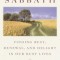 Sabbath: Finding Rest, Renewal, and Delight in Our Busy Lives