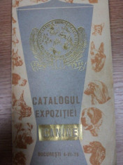 CATALOGUL EXPOZITIEI CANINE REPUBLICANE, BUC.1978 foto