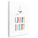 Tablou afis Carpe Diem Tablou canvas pe panza CU RAMA 70x100 cm