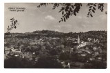 CPIB 21831 - CARTE POSTALA - CHEIUL SILVANIEI, VEDERE GENERALA, NECIRCULATA, RPR