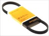 Curea transmisie Contitech 4PK830ELAST Bmw 1 (E87) 3 (E90) 3 Touring (E91), CONTINENTAL CTAM