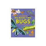 Big Book of Big Bugs