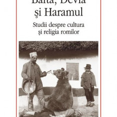Bafta, Devla si Haramul. Studii despre cultura si religia romilor – Mirel Banica