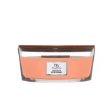 WoodWick Manuka Nectar Candle - Lumanare parfumata, 453.6 gr, Unisex