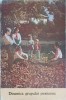 Dinamica Grupului Pionieresc - Adrian Neulau, Viorica Paraschivescu, Olga Rusu (1974) Pedagogie, Carte veche