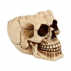Scrumiera craniu Lobo 15 cm foto
