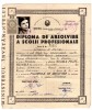 CERTIFICAT DE MUNCITOR CALIFICAT DIPLOMA DE MESERIA DE SILOZIER BRAILA 1966, Documente