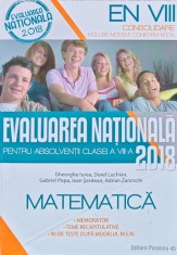 Matematica Evaluarea Nationala, 2018 - 2017 - Gheorghe Iurea (AM124)