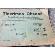 Tinerimea Olteana - Revista bilunara pentru tineret Anul I, 20 Martie 1935