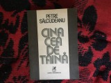 e1 Cina Cea De Taina - Petre Salcudeanu