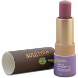 Balsam de Buze cu Violete si Unt de Kokum 3.5g