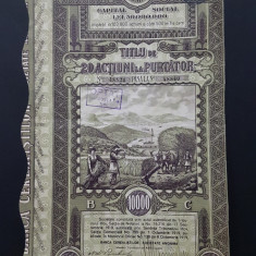 Actiune 1919 Banca cerealistilor / titlu 20 de actiuni