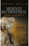 Meditatii beethoveniene - George Balan