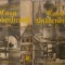 Casa Buddenbrook (2 Volume) - Thomas Mann