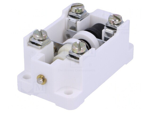 Limitator de Cursă Bolt NO NC 16A 500VAC 220VDC IP00