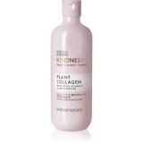 Baylis &amp; Harding Kindness+ Plant Collagen gel de dus revitalizant parfum Coconut Milk &amp; Rose Water 500 ml