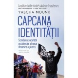 Capcana identitatii. Scindarea societatii occidentale si noua dinamica a puterii - Yascha Mounk
