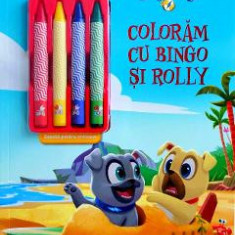 Disney: Prietenii catelusi. Coloram cu Bingo si Rolly