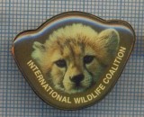 AX 1093 INSIGNA -INTERNATIONAL WILDLIFE COALITION-PENTRU COLECTIONARI