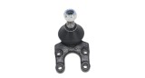 Pivot brat suspensie Ford Maverick, Maverick VAN; Nissan Terrano II, Terrano II Van, montare Fata, inferior; Stanga=Dreapta, SRLine