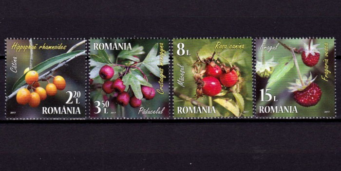 ✅RO 2017 ,LP 2162 ,&quot;Fructe de padure &quot; ,serie ,MNH