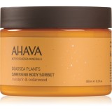 AHAVA Dead Sea Plants crema de corp hidratanta 350 ml