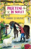 Hannah si Mozaic. Seria Prieteni de suflet Cartea 4 - Pippa Young