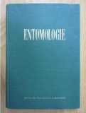 Entomologie Carte Stiinta Biologie Didactica Pedagogica M. Ionescu 1962 Stare Buna