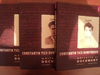 MARTURIE SI DOCUMENT VOL. I ( PARTEA I , II , III ) de CONSTANTIN TICU DUMITRESCU , 2008 foto