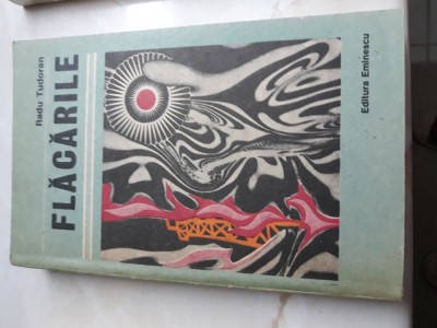 Flacarile - Radu Tudoran foto