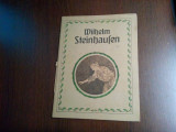 WILHELM STEINHAUFEN - Album - 1914, 35 p. cu reproduceri; lb. germana, Alta editura