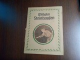 WILHELM STEINHAUFEN - Album - 1914, 35 p. cu reproduceri; lb. germana, Alta editura