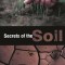 Secrets of the Soil