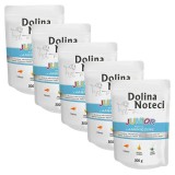Cumpara ieftin Dolina Noteci Premium Junior Rich In Lamb 5 x 300 g