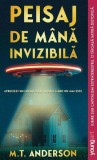 Peisaj de m&acirc;nă invizibilă Young Art