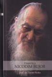 Daniel Rolea - Parintele Nicodim Bujor