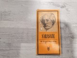 Sarasate de Angel Sagardia
