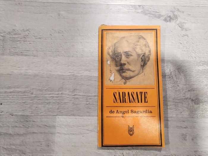 Sarasate de Angel Sagardia