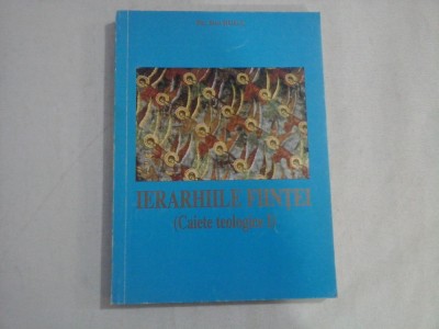 IERARHIILE FIINTEI - PR. ION BUGA foto