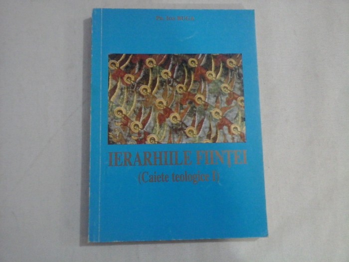 IERARHIILE FIINTEI - PR. ION BUGA