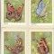 bnk cp Insecte - Fluturi - lot 4 carti postale necirculate *