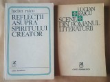 Lucian Raicu - Scene din romanul literaturii + Reflecții asupra spiritului creator