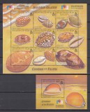 Solomon Islands - Fauna Marina - COWRIES - BL + KB - MNH