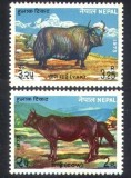 Nepal 1973 - Animale domestice, serie neuzata