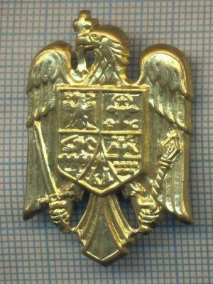 Y 1539 INSIGNA-MILITARA -EMBLEMA COIFURA -PENTRU COLECTIONARI foto